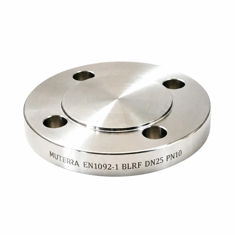 ASTM A182 F51, F53, BL; ANSI B16.5 – Stainless steel blind flanges