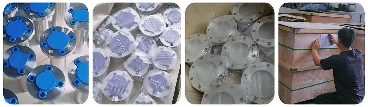 Stainless Steel Flange / Alloy Steel Flange